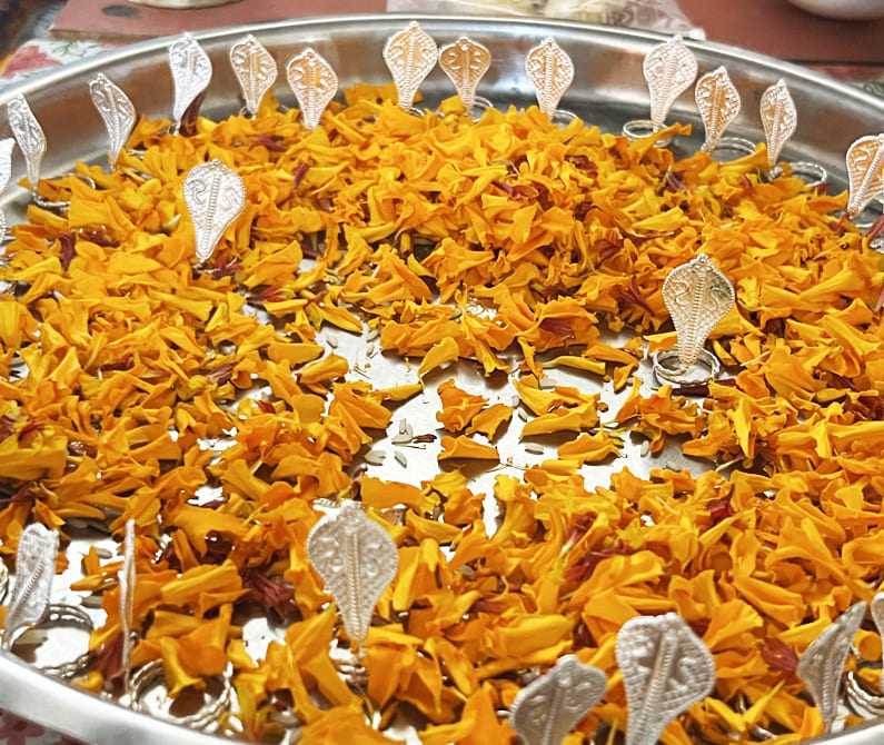 Kalsarp Dosh Nivaran Puja